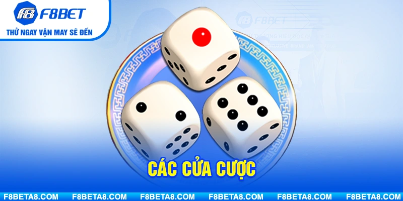 Các cửa cược khi tìm tài xỉu là gì