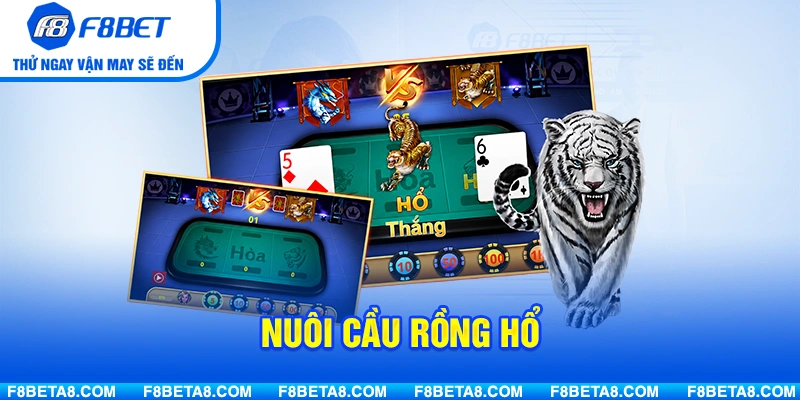 Cách chơi Rồng Hổ hay bằng nuôi cầu