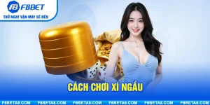 Cách chơi xí ngầu từ A đến Z cho người mới tham gia