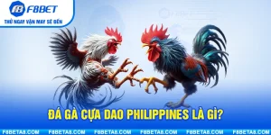 Đá Gà Cựa Dao Philippines Là Gì? Tổng Quan Và Cách Tham Gia Hiệu Quả