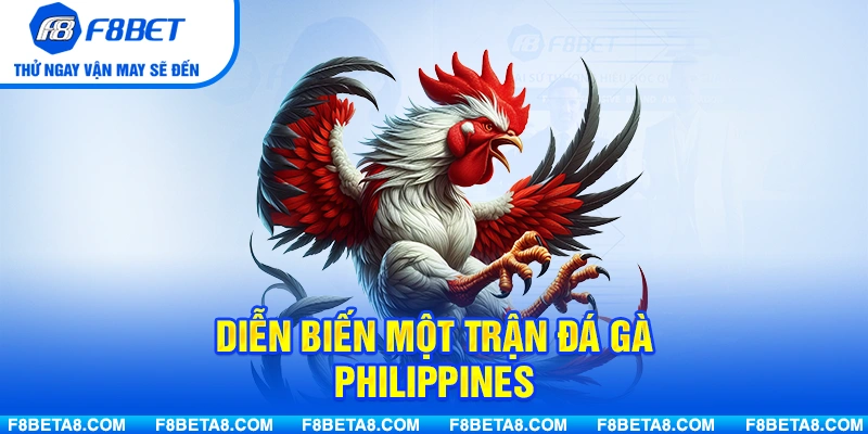 Diễn biến một trận đá gà Philippines diễn ra như thế nào