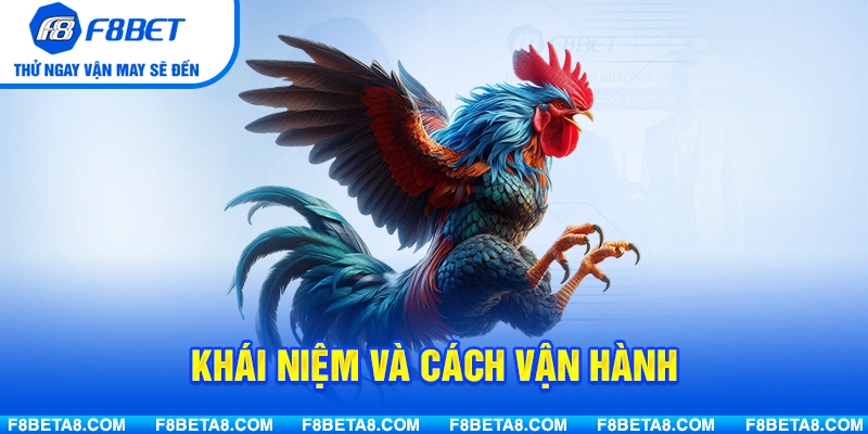 Khái niệm và cách vận hành của trường gà Thomo