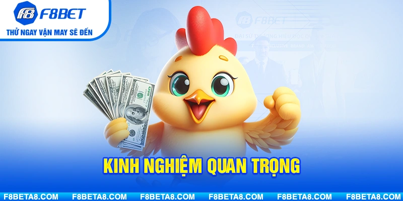 Kinh nghiệm quan trọng khi theo dõi và tham gia đá gà cựa dao