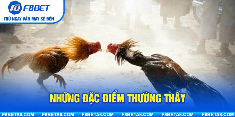 Những đặc điểm thường thấy ở gà sở hữu vảy khai tiền