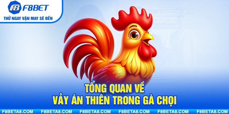 Tổng quan về vảy án thiên trong gà chọi