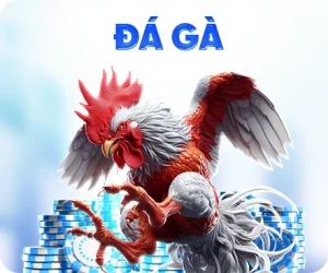 icon đá gà f8bet